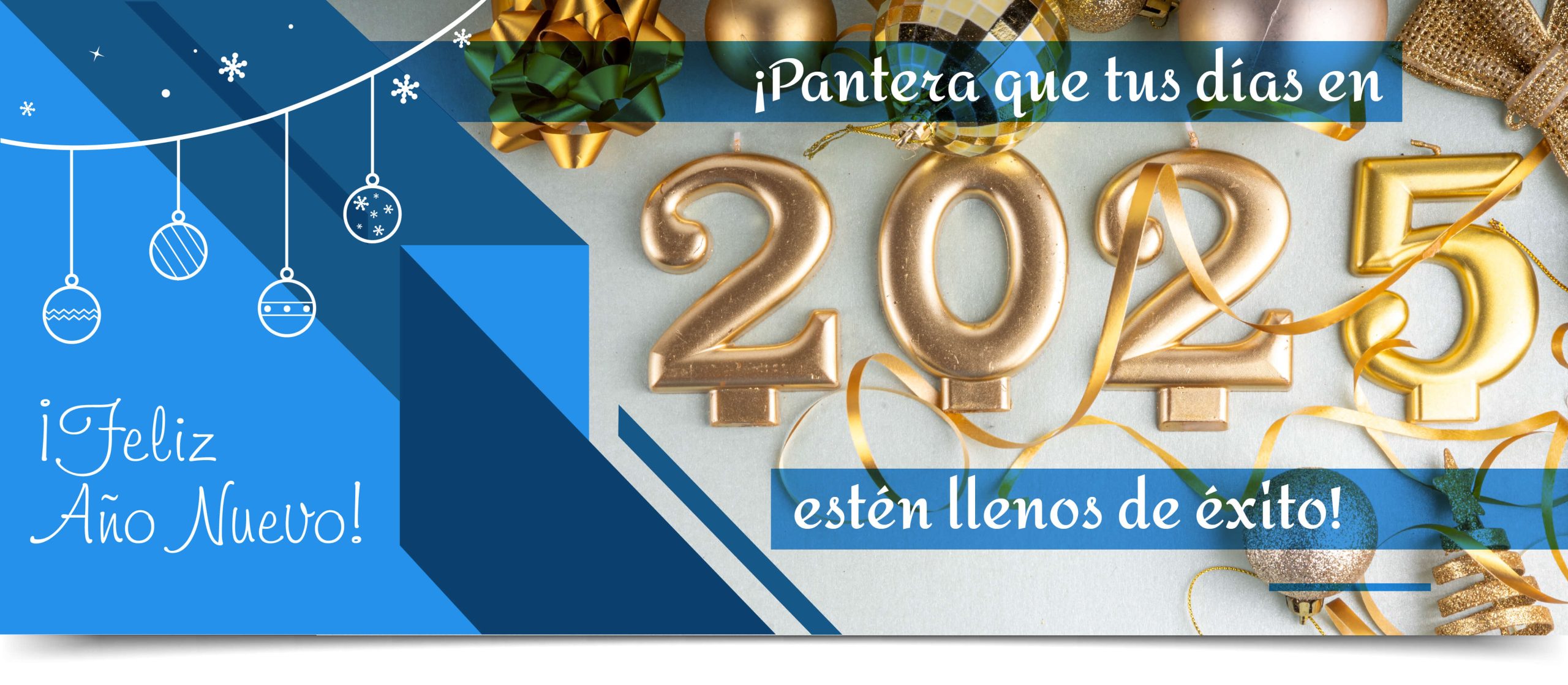 Banner 2025 enero_Mesa de trabajo 1