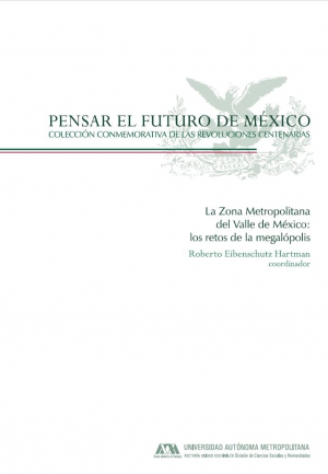 La zona metropolitana del valle de México: los retos de la megápolis