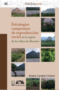 Estrategias campesinas de reproducción social en la región de los Altos de Morelos