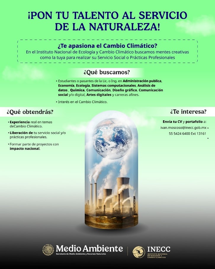 Imagen5